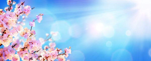 戰(zhàn)疫情，北京韋林公司全體員工齊心協(xié)力共克時艱！